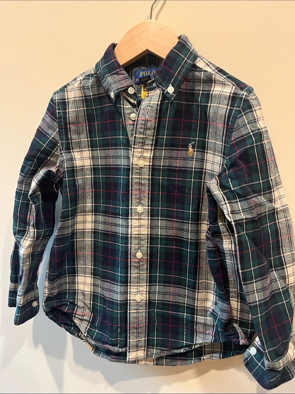 Polo by Ralph Lauren Forest Green & White Plaid Button-Down Shirt